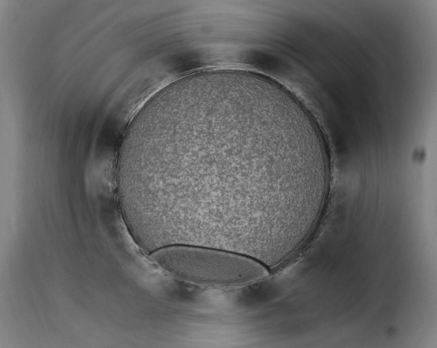 X0000115280905200911201749