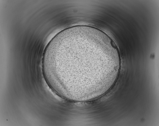 X0000115280906200911201749