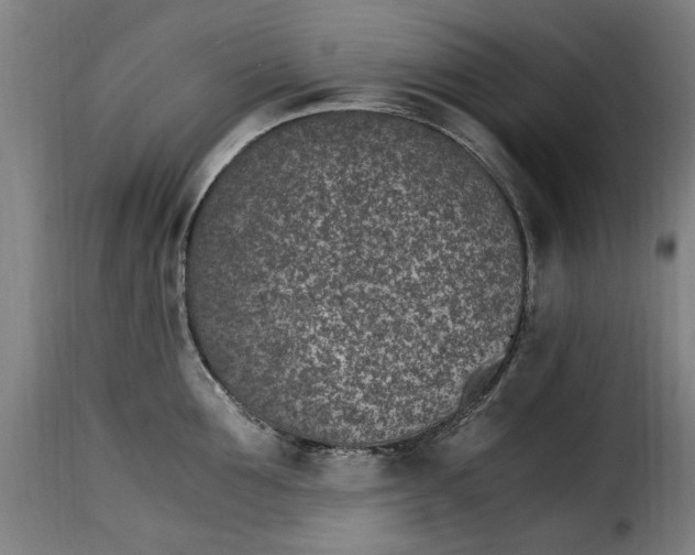 X0000115280907200911201749