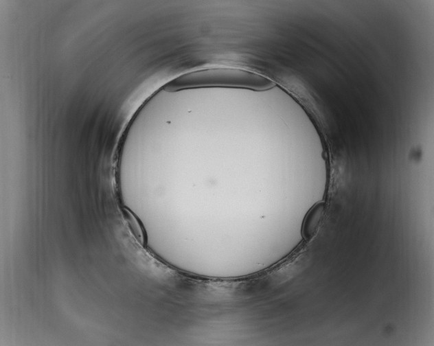 X0000115280908200911201749