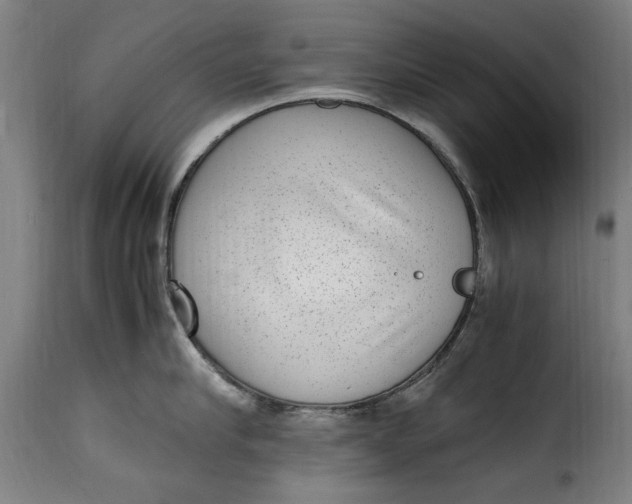 X0000115280910200911201749