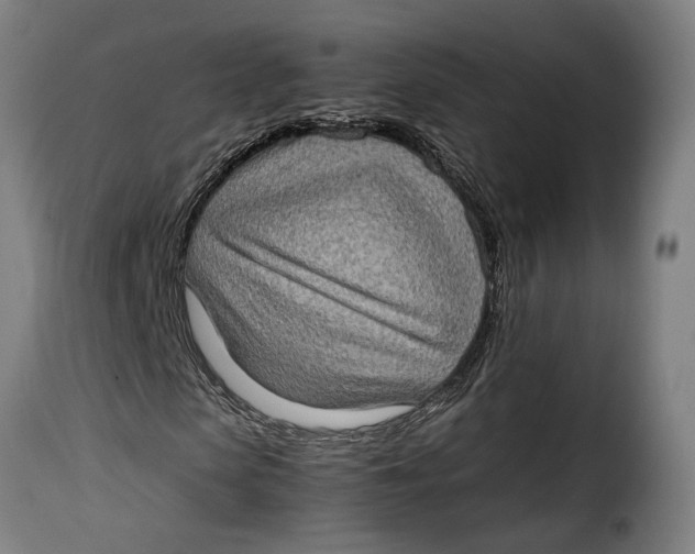 X0000115280913200911201748