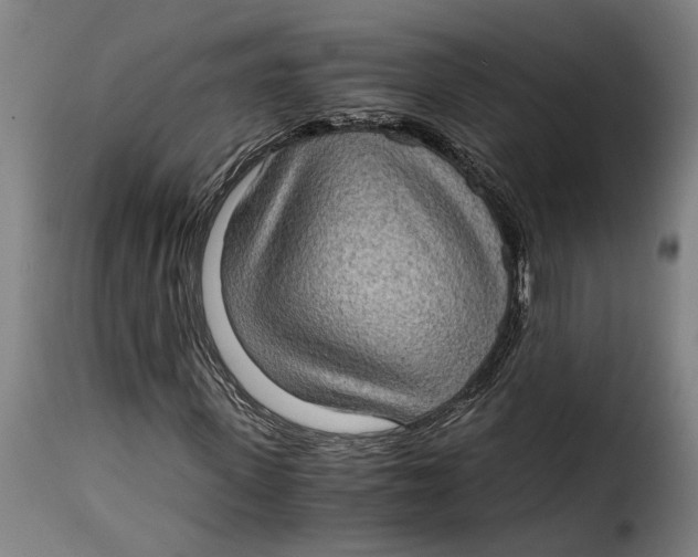 X0000115280915200911201748