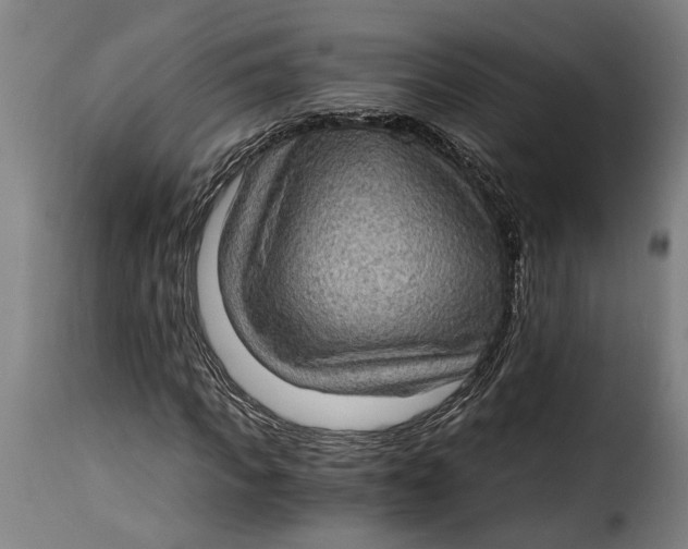 X0000115280917200911201748