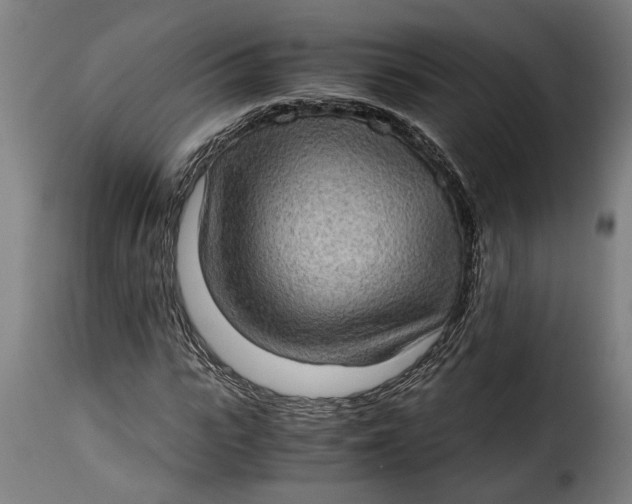 X0000115280919200911201748