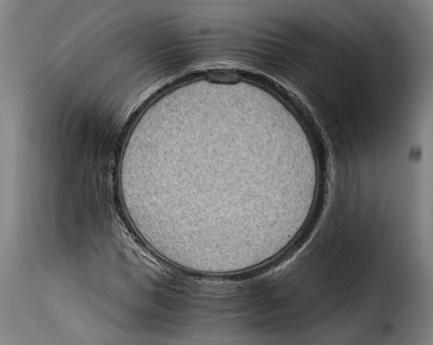 X0000115280921200911201748