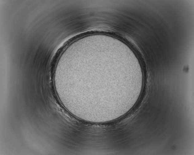 X0000115280923200911201748