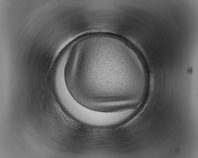 X0000115280925200911201748