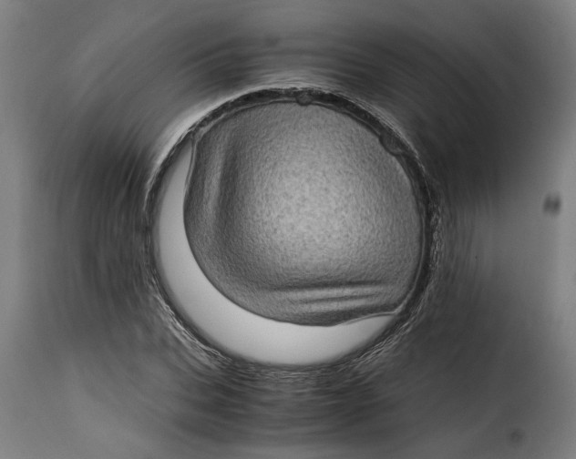 X0000115280927200911201748