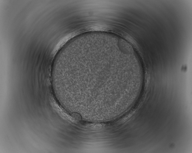 X0000115280930200911201748