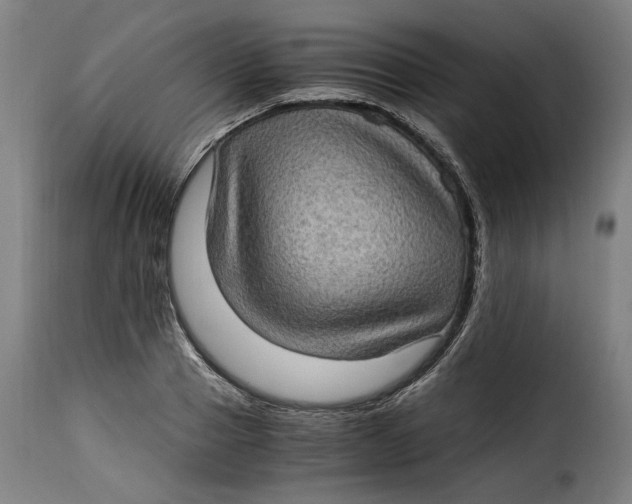 X0000115280937200911201749