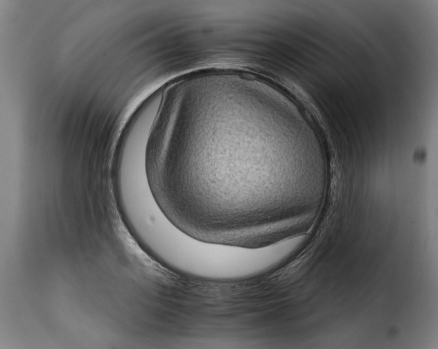 X0000115280939200911201749