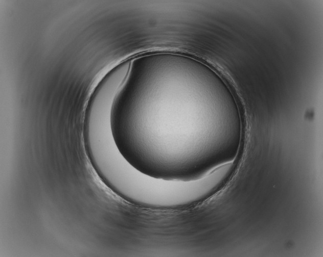 X0000115280941200911201749