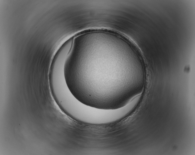 X0000115280943200911201749