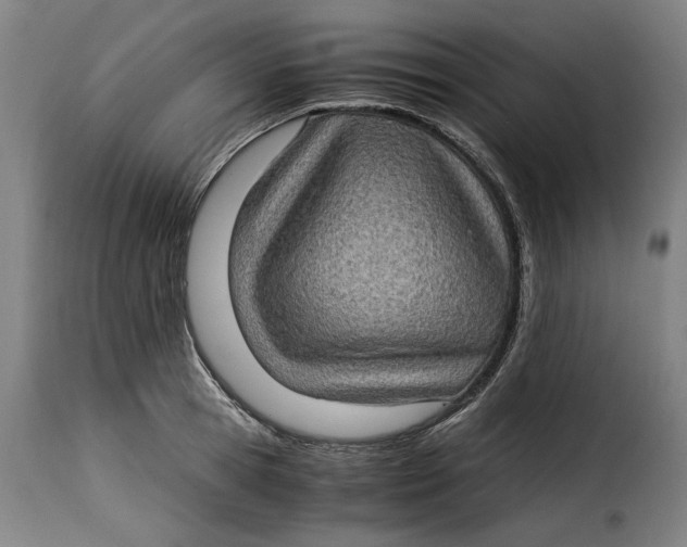 X0000115280945200911201749