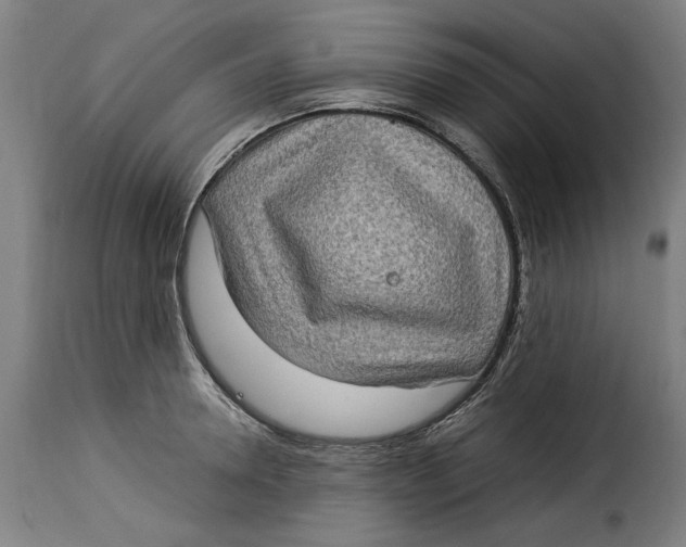 X0000115280946200911201749