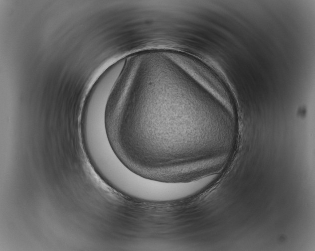 X0000115280947200911201749