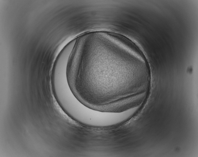 X0000115280949200911201749