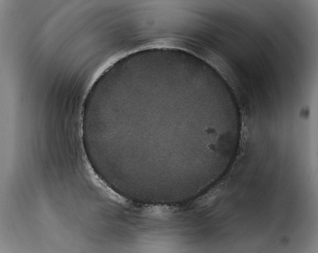 X0000115280950200911201749