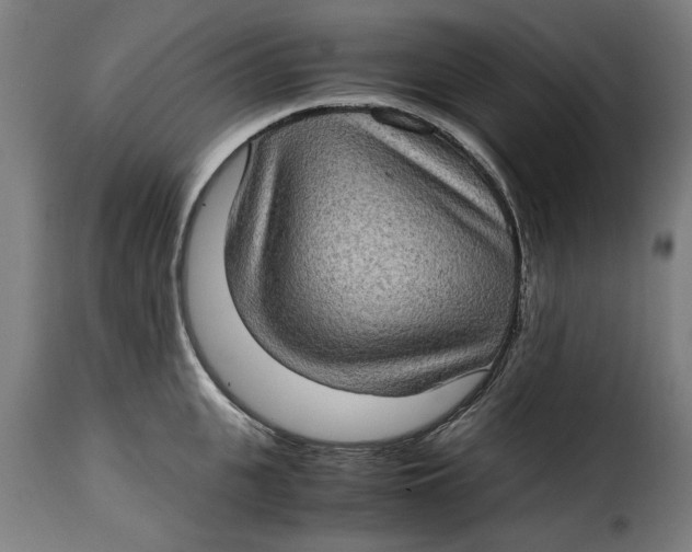 X0000115280951200911201749