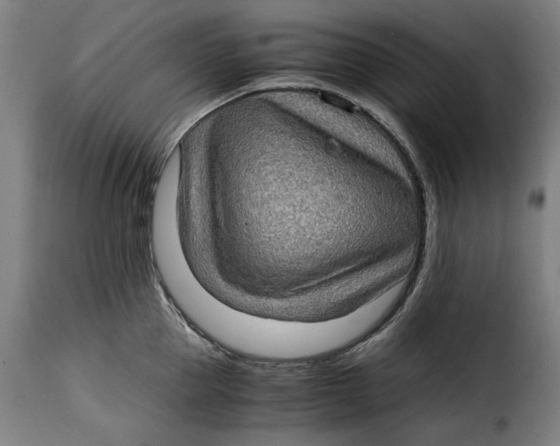 X0000115280953200911201749