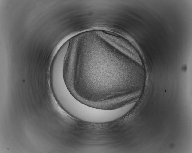 X0000115280955200911201749