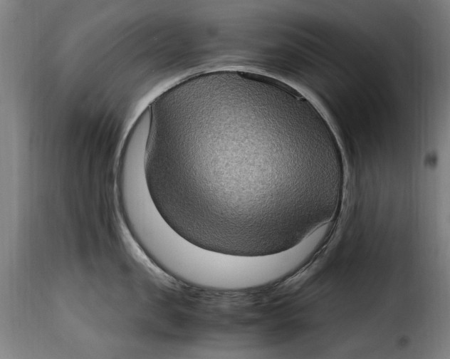 X0000115280957200911201749