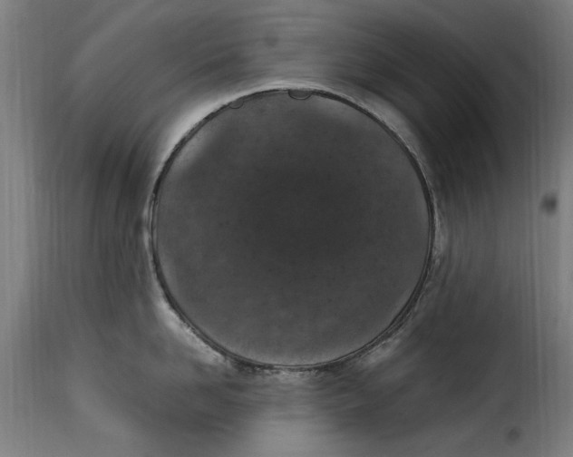 X0000115280958200911201749