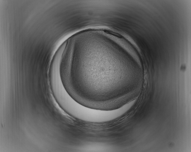 X0000115280959200911201749