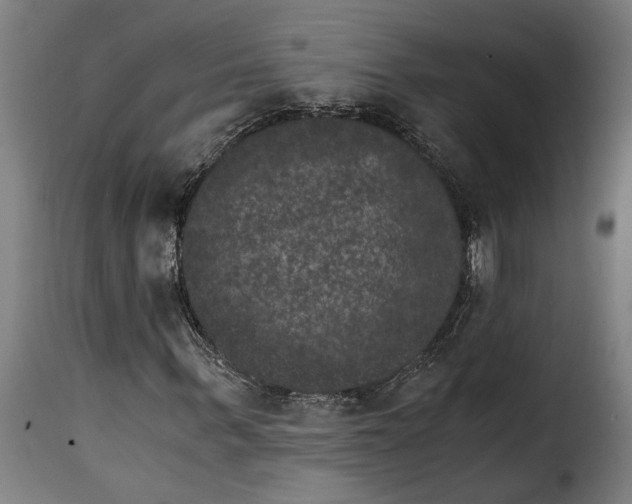 X0000115280963200911201748