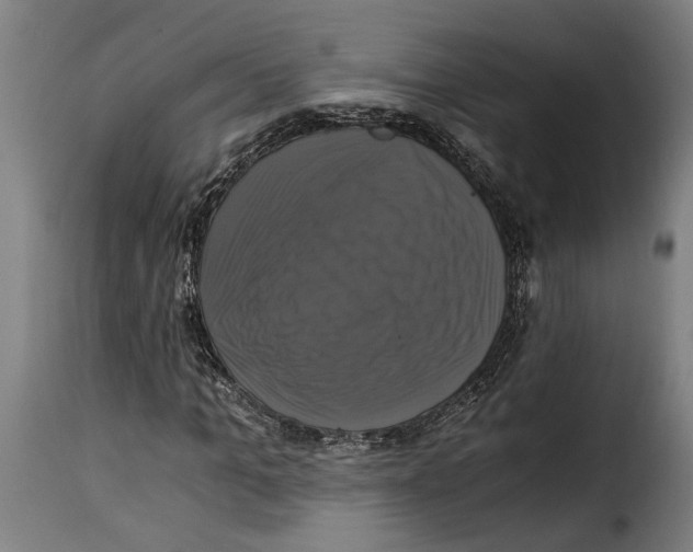 X0000115280965200911201748