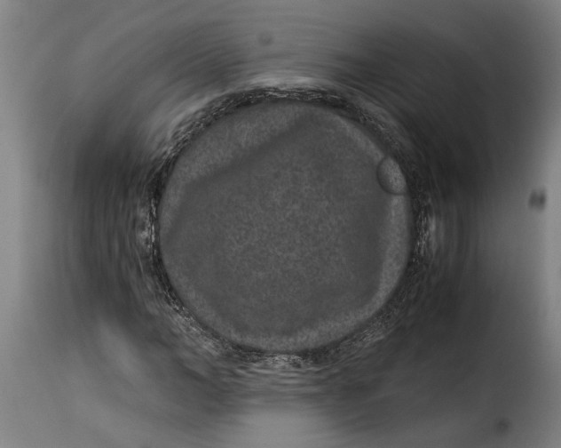 X0000115280966200911201748