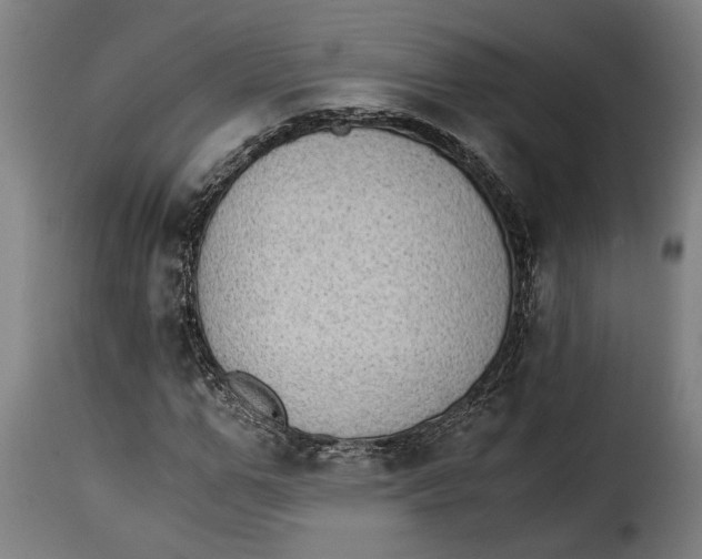 X0000115280967200911201748