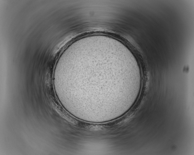 X0000115280969200911201748