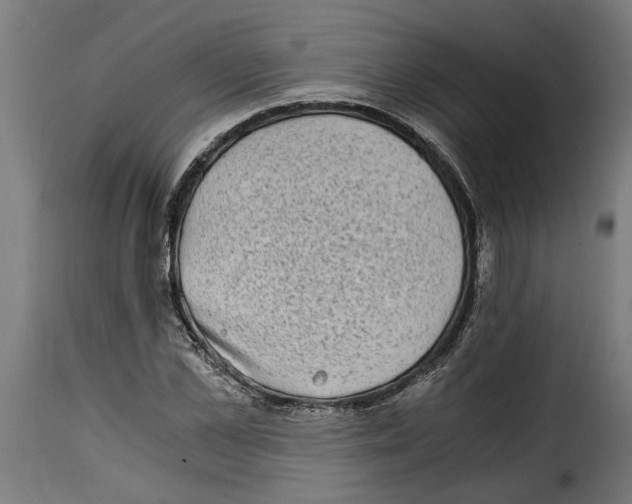 X0000115280973200911201748