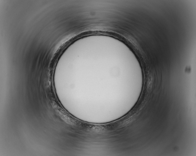 X0000115280974200911201748