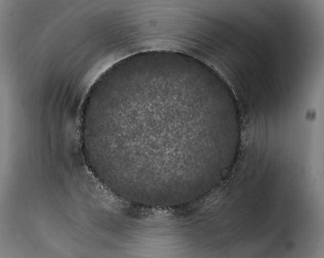 X0000115280975200911201748