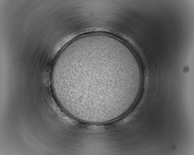 X0000115280977200911201748