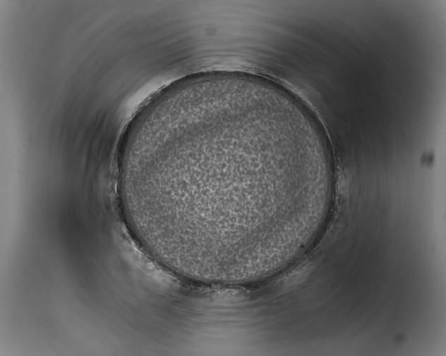 X0000115280979200911201748