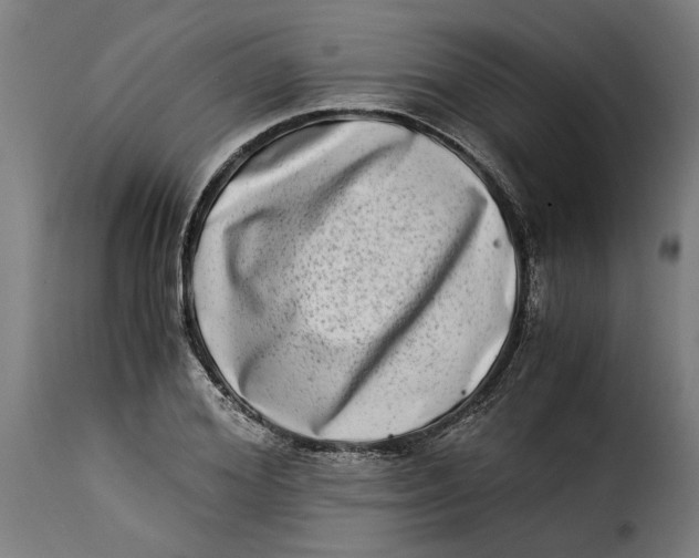 X0000115280980200911201748