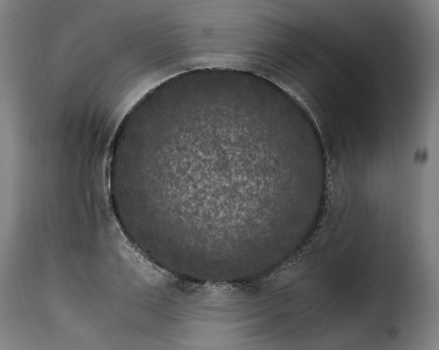 X0000115280983200911201748