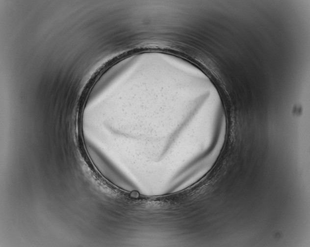 X0000115280984200911201748