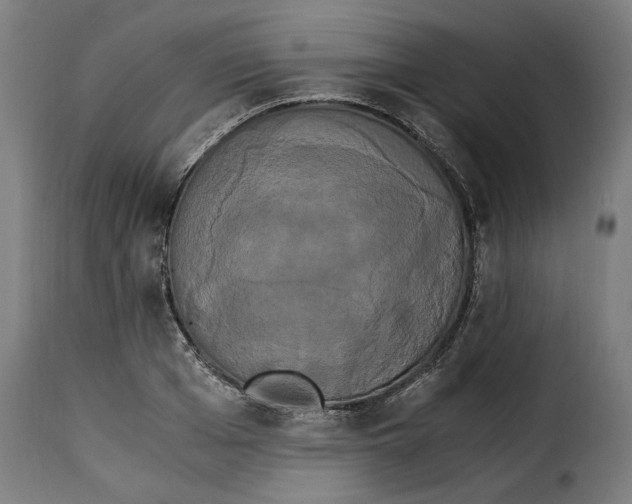 X0000115280985200911201748