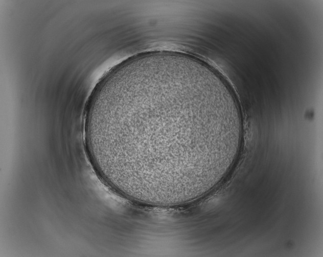 X0000115280987200911201748