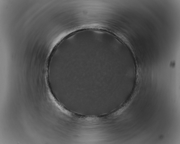 X0000115280989200911201748