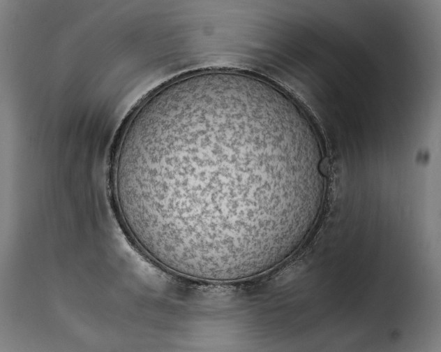 X0000115280991200911201748