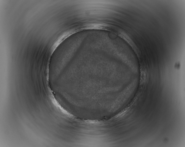 X0000115280994200911201748