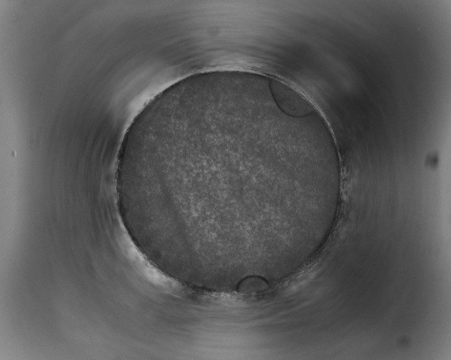 X0000115280995200911201748