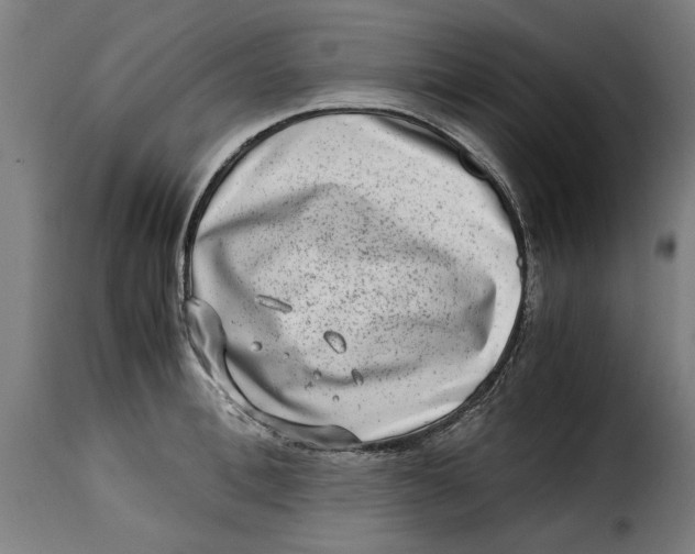 X0000115280996200911201748