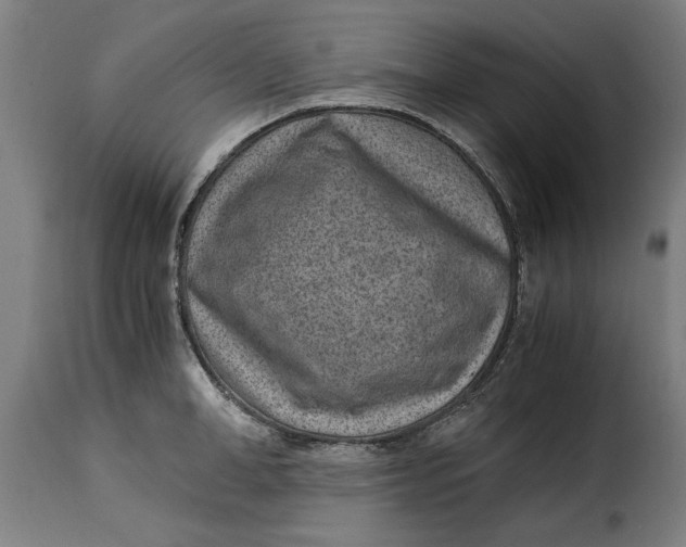 X0000115280998200911201748